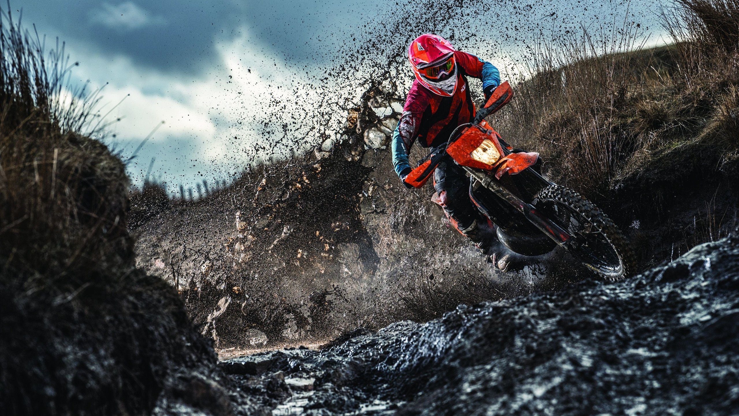 IM体育-技术暴君与迟暮贵族，一场数据革命下的F1王权更迭